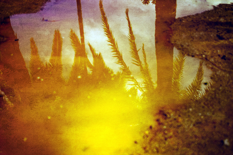 Reflection in water. Park Guell, Barcelona