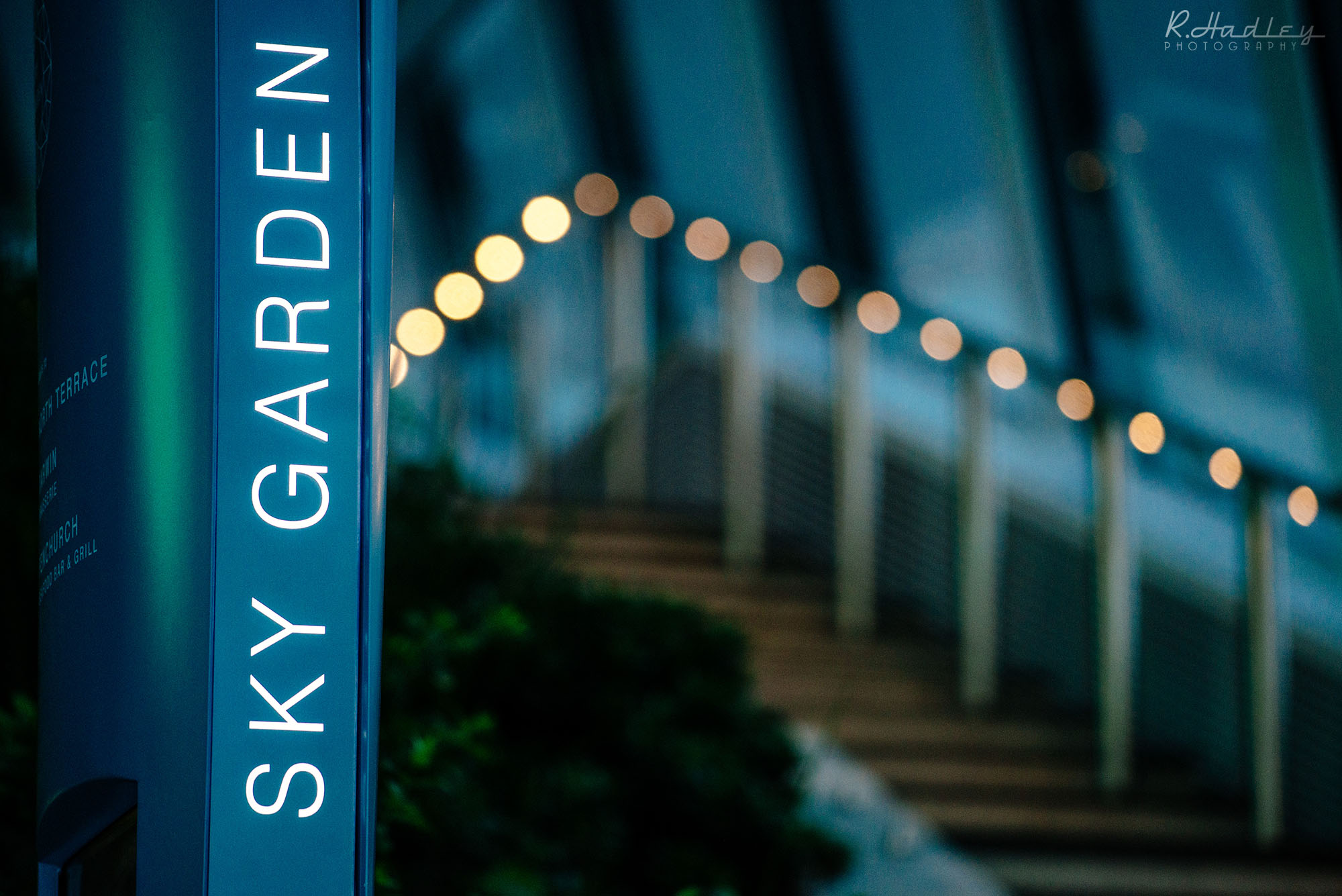 Sky Garden - Corporate Event Photographer in London